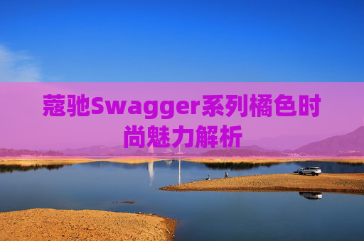蔻驰Swagger系列橘色时尚魅力解析